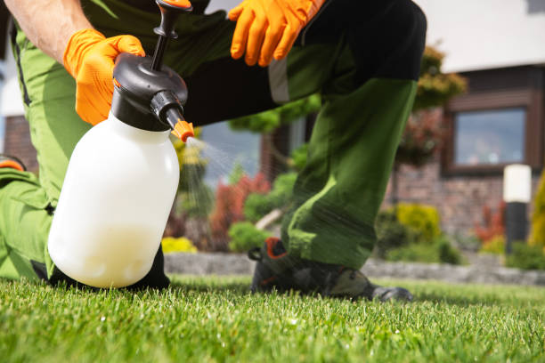 Best Insect Control  in Franklin, OH