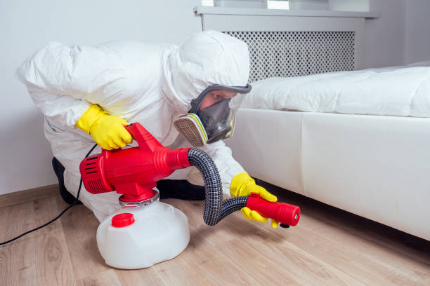 Best Wasp Removal Services  in Franklin, OH